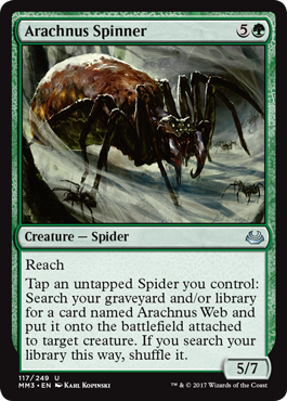 Fileuse arachnus