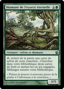 Shamane de l'écorce éternelle