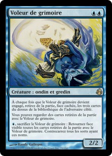 Voleur de grimoire