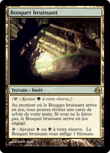 Bosquet bruissant