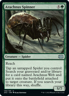 Fileuse arachnus