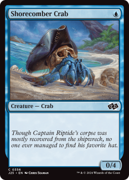 Crabe ratisseur des côtes