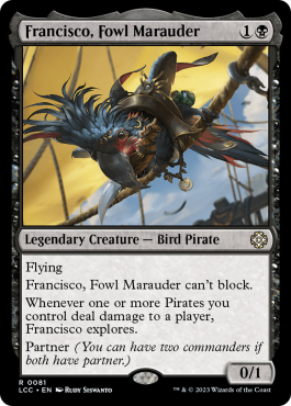 Francisco, volatile maraudeur