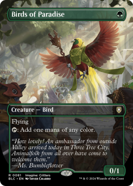 Oiseaux de paradis