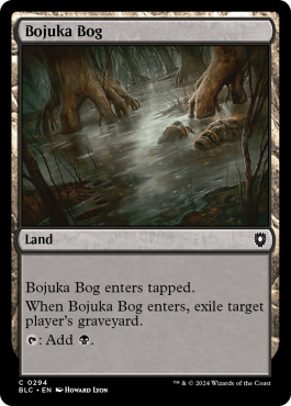 Marécage de Bojuka