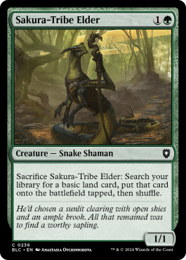Ancêtre de la tribu Sakura