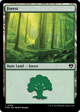 Forêt