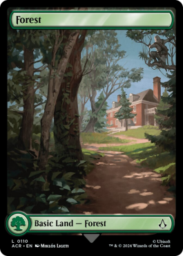 Forêt