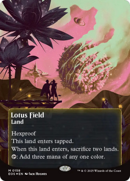 Champ de lotus