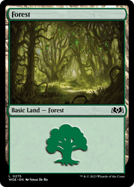 Forêt