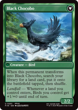 ** Sidequest: Raise a Chocobo // Black Chocobo