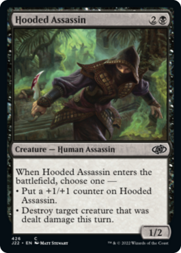 Assassin cagoulé