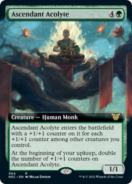 Acolyte ascendant