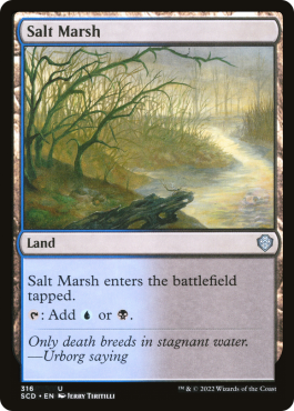 Marais salant