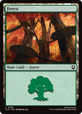 Forêt