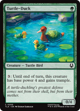 Canard-tortue
