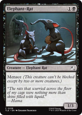Rat-éléphant