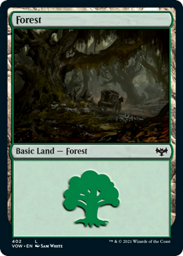 Forêt