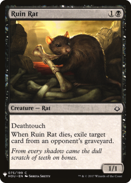 Rat des ruines