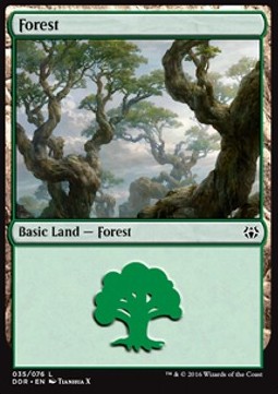 Forêt