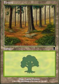 Forêt