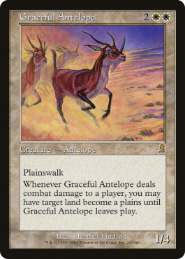 Antilope gracieuse