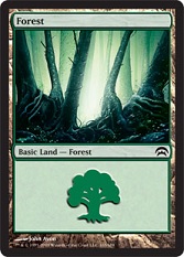 Forêt