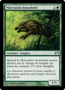 Marcassin moucheté