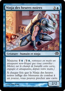 Ninja des heures noires