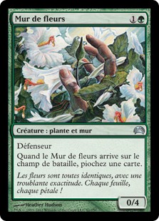 Mur de fleurs