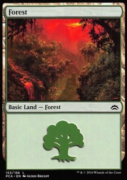 Forêt