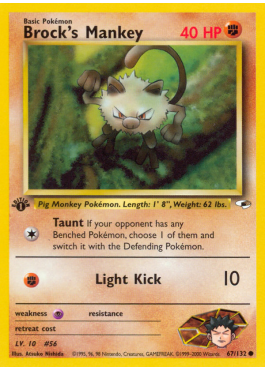 Brock's Mankey (G1 67)