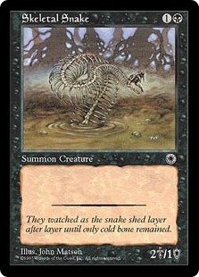 Serpent squelette