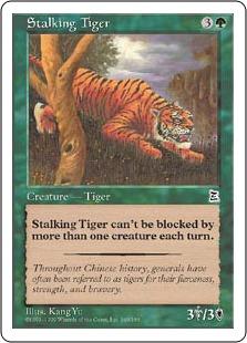 Tigre en chasse
