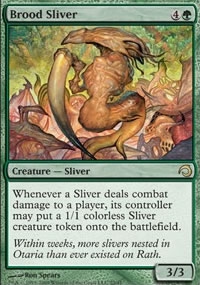 Slivoïde géniteur
