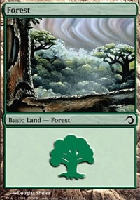 Forêt