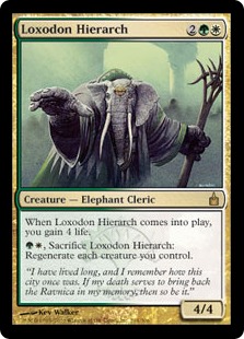 Hiérarche loxodon