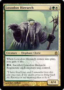 Hiérarche loxodon