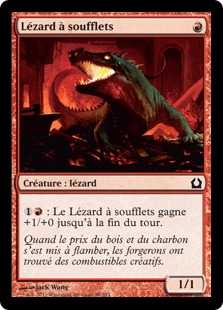 Lézard à soufflets