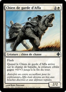 Chien de garde d'Affa