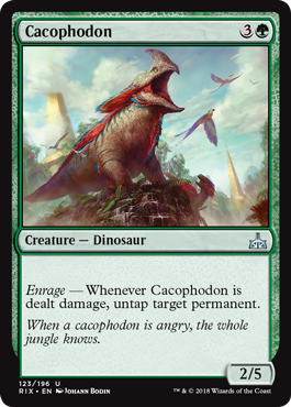 Cacophodonte