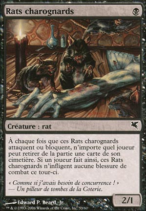 Rats charognards
