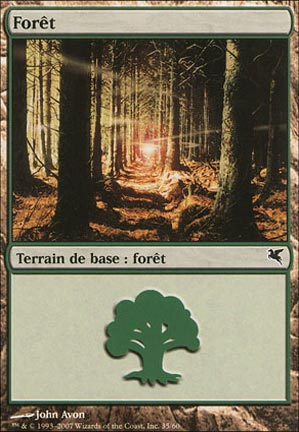 Forêt