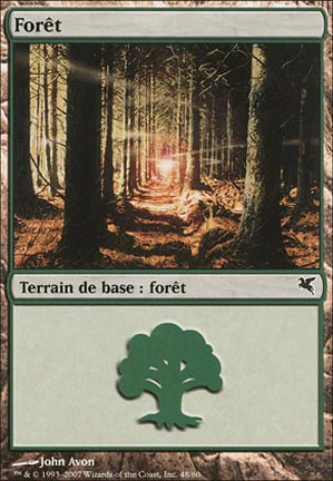 Forêt