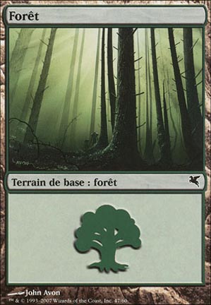 Forêt