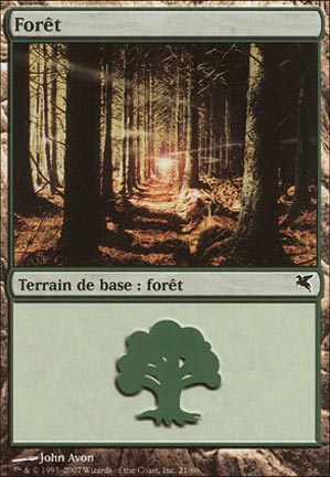 Forêt