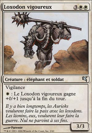 Loxodon vigoureux