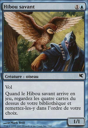 Hibou savant