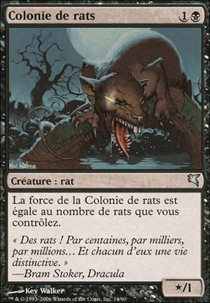 Colonie de Rats