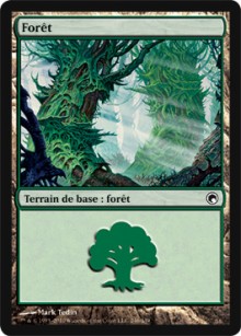 Forêt